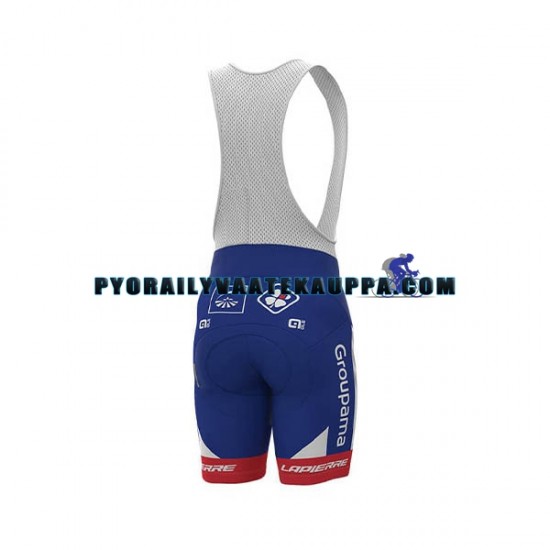 Bib Pyöräilyshortsit 2018 FDJ Miehet N001